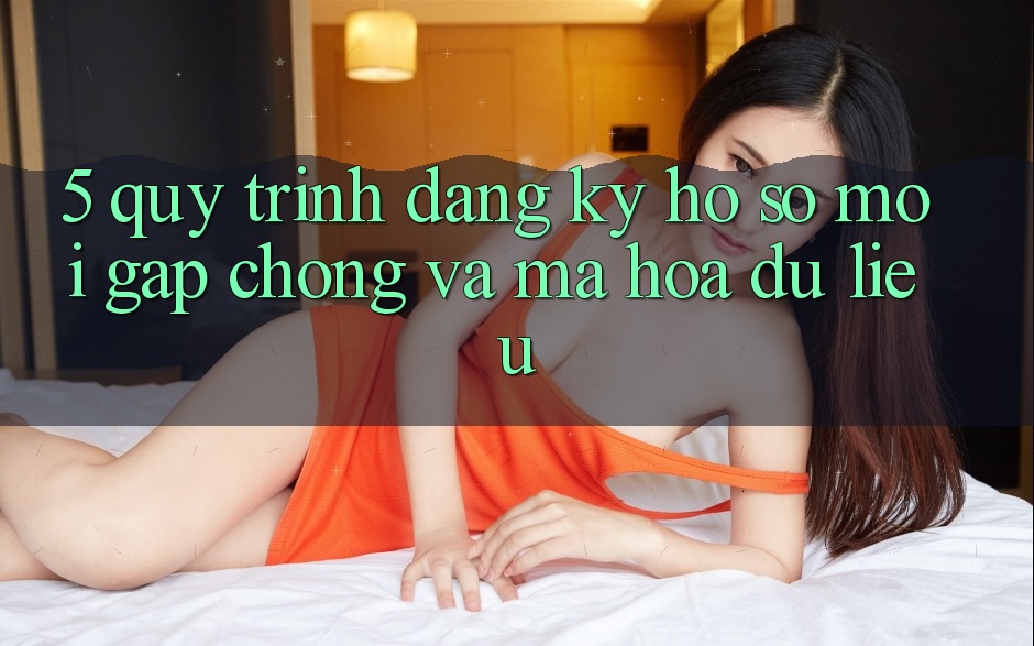 5. Quy Trình Đăng Ký Hồ sơ Mới Gấp Chóng và Mã hóa dữ liệu