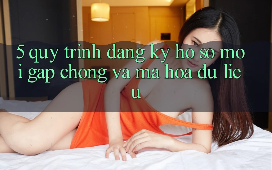 5. Quy Trình Đăng Ký Hồ sơ Mới Gấp Chóng và Mã hóa dữ liệu 5. Quy Trình Đăng Ký Hồ sơ Mới Gấp Chóng và Mã hóa dữ liệu