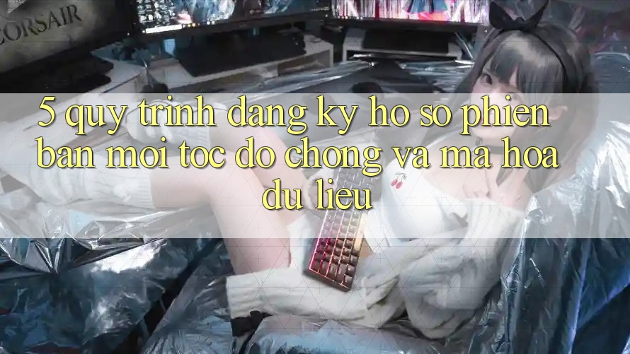 5. Quy Trình Đăng Ký Hồ sơ Phiên bản mới Tốc độ Chóng và Mã hóa dữ liệu 5. Quy Trình Đăng Ký Hồ sơ Phiên bản mới Tốc độ Chóng và Mã hóa dữ liệu