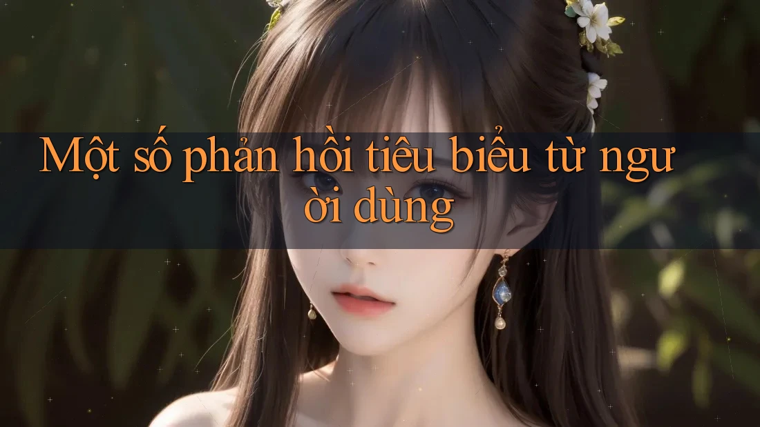 Một số phản hồi tiêu biểu từ người dùng