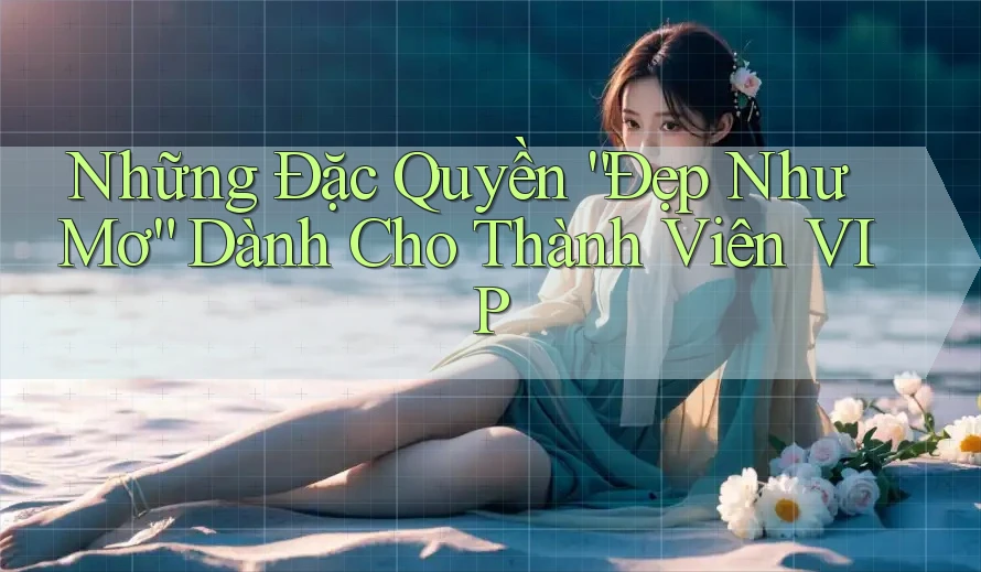 Những Đặc Quyền “Đẹp Như Mơ” Dành Cho Thành Viên VIP