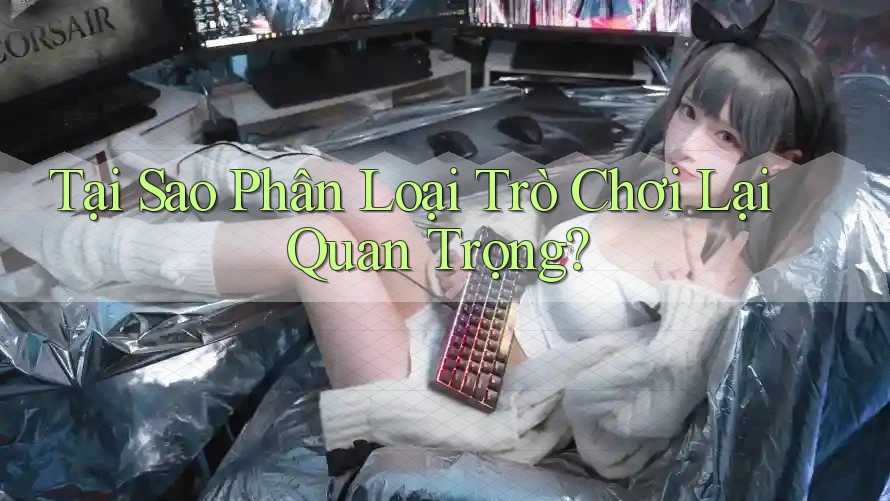 Tại Sao Phân Loại Trò Chơi Lại Quan Trọng? Tại Sao Phân Loại Trò Chơi Lại Quan Trọng?
